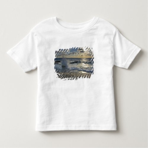 Caribbean Sea Cayman Islands  Crashing waves Toddler T_shirt