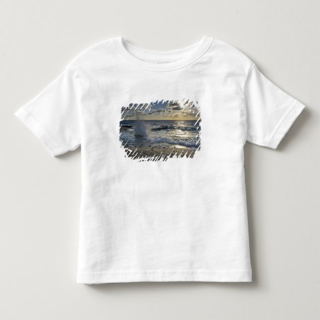 Caribbean Sea, Cayman Islands.  Crashing waves Toddler T-shirt (Front)