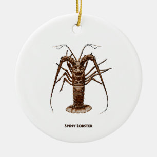 Caribbean Spiny Lobster Ceramic Ornament