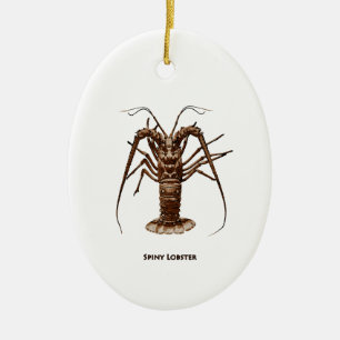 Caribbean Spiny Lobster Ceramic Ornament