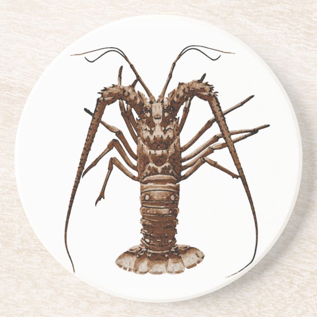 Caribbean Spiny Lobster Drink Coaster (Front)
