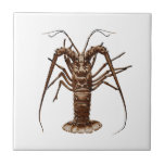Caribbean Spiny Lobster Tile<br><div class="desc">The Caribbean spiny lobster, or rock lobster is depicted in this logo. In Florida and the Caribbean, rock lobsters are harvested by divers and caught in traps.</div>