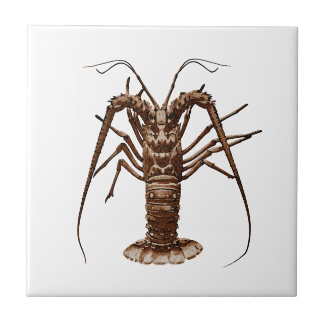 Caribbean Spiny Lobster Tile (Front)