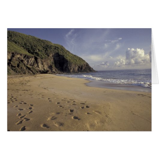 Caribbean, St. Kitts. Footprints on Atlantic Cards (Front Horizontal)