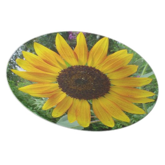 Caribbean Sun Flower Plate (Right Side)