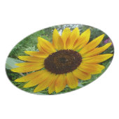 Caribbean Sun Flower Plate (Left Side)