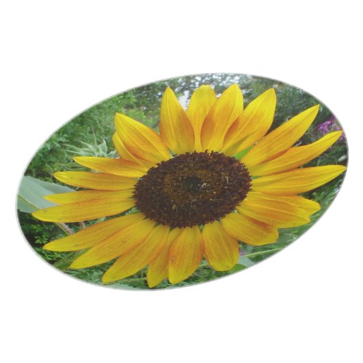 Caribbean Sun Flower Plate (Left Side)