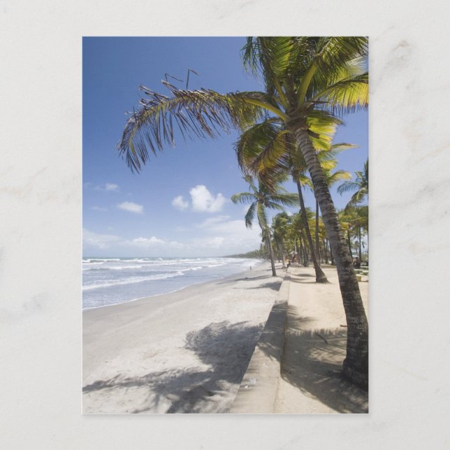 Caribbean - Trinidad - Manzanilla Beach on Postcard (Front)