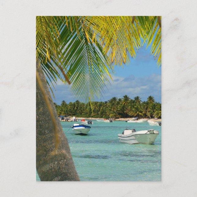 Caribbean Tropical paradise Postcard (Front)