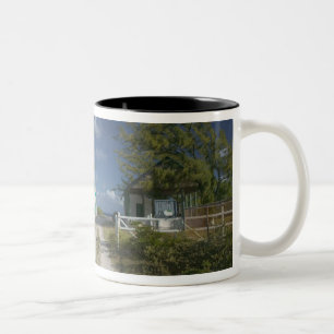 Caribbean, TURKS & CAICOS, Grand Turk Island, 3 Two-Tone Coffee Mug