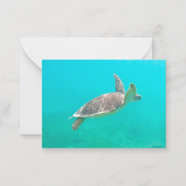 Caribbean Turtle Note Card (Front)