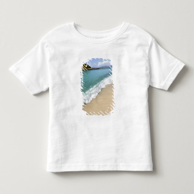 Caribbean, U.S. Virgin Islands, St. John, Toddler T-shirt (Front)