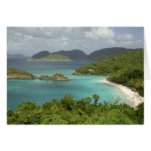 Caribbean, U.S. Virgin Islands, St. John, Trunk (Front Horizontal)