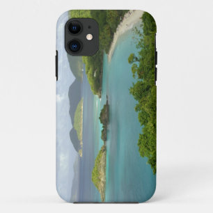 Caribbean, U.S. Virgin Islands, St. John, Trunk 2 iPhone 11 Case