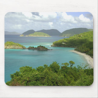 Caribbean, U.S. Virgin Islands, St. John, Trunk 2 Mouse Pad