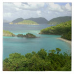 Caribbean, U.s. Virgin Islands, St. John, Trunk 2 Tile at Zazzle