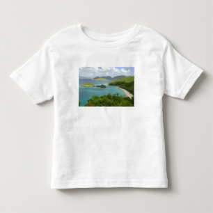 Caribbean, U.S. Virgin Islands, St. John, Trunk 2 Toddler T-shirt