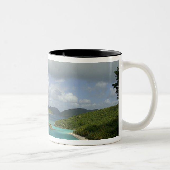Caribbean, U.S. Virgin Islands, St. John, Trunk 3 Two-Tone Coffee Mug (Right)