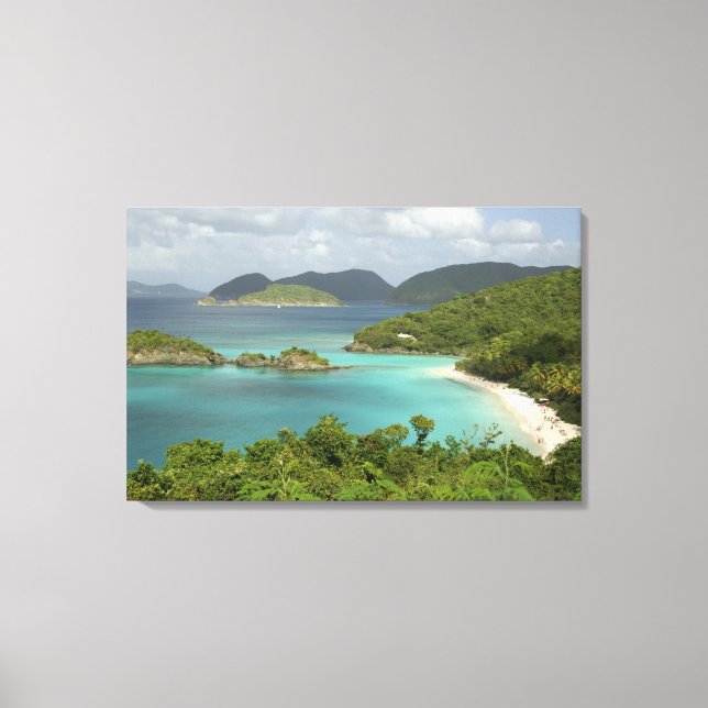 Caribbean, U.S. Virgin Islands, St. John, Trunk Canvas Print (Front)
