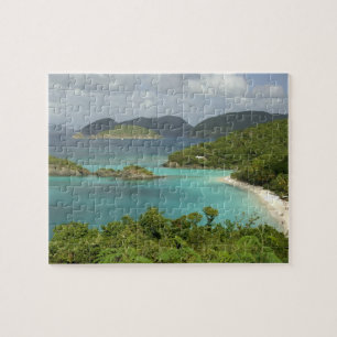 Caribbean, U.S. Virgin Islands, St. John, Trunk Jigsaw Puzzle