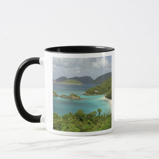 Caribbean, U.S. Virgin Islands, St. John, Trunk Mug (Left)