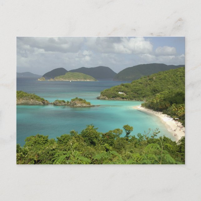 Caribbean, U.S. Virgin Islands, St. John, Trunk Postcard (Front)