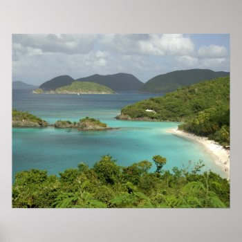 Caribbean  U.s. Virgin Islands  St. John  Trunk Poster by tothebeach at Zazzle