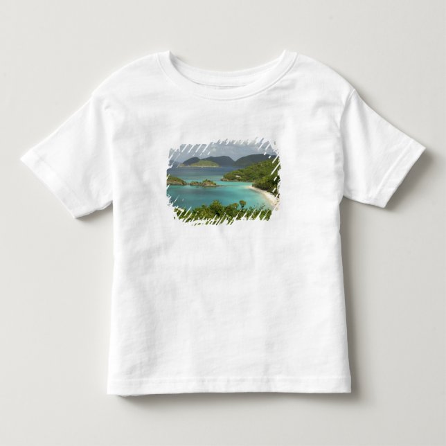 Caribbean, U.S. Virgin Islands, St. John, Trunk Toddler T-shirt (Front)