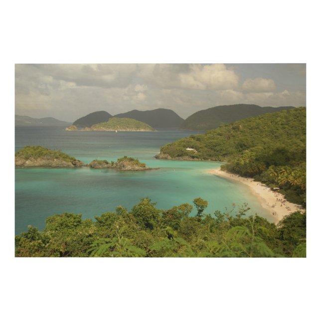 Caribbean, U.S. Virgin Islands, St. John Wood Wall Decor (Front)
