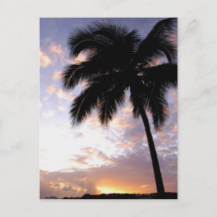 Caribbean, U.S. Virgin Islands, St.Thomas, 3 Postcard