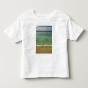 Caribbean, U.S. Virgin Islands, St.Thomas, 4 Toddler T-shirt