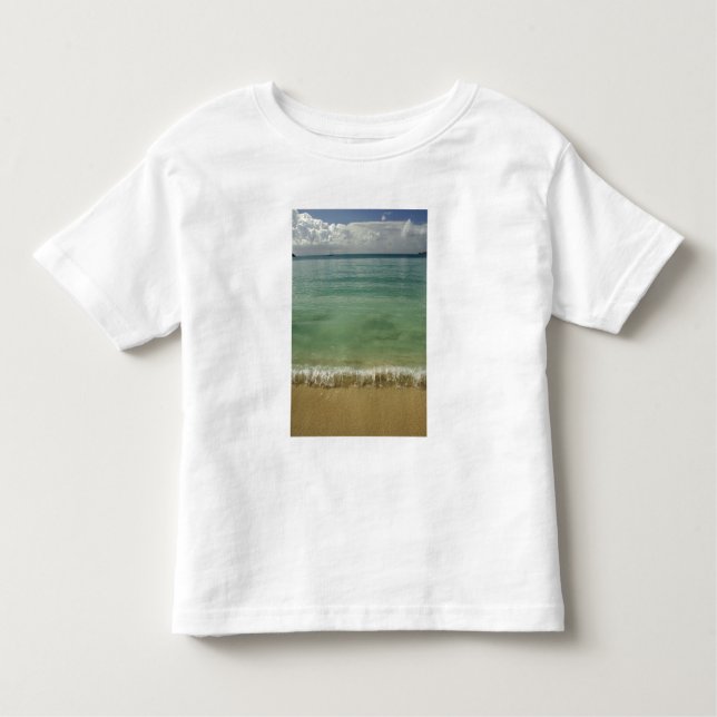 Caribbean, U.S. Virgin Islands, St.Thomas, 4 Toddler T-shirt (Front)
