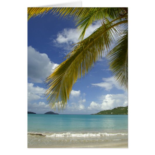 Caribbean, U.S. Virgin Islands, St.Thomas, Cards (Front)