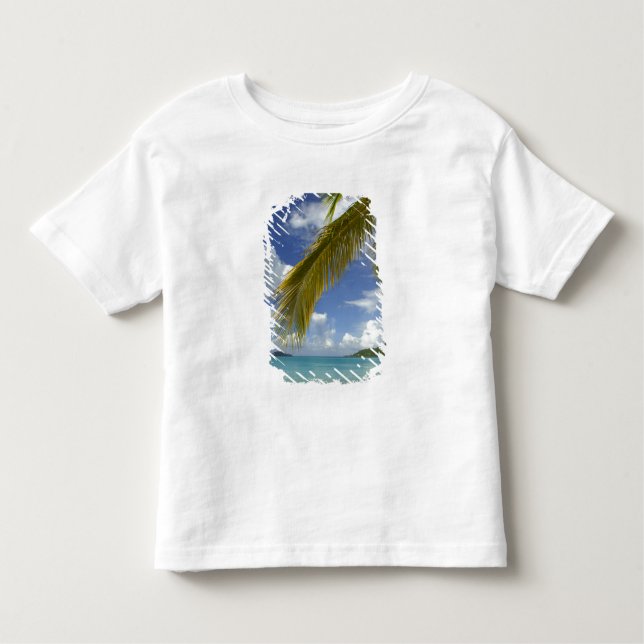 Caribbean, U.S. Virgin Islands, St.Thomas, Toddler T-shirt (Front)