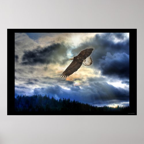 Cariboo Bald Eagle  Sunset Motivational Poster