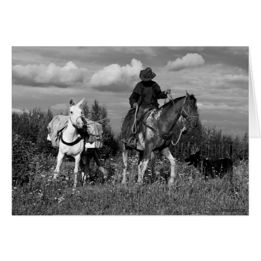 Cariboo Cowboy Horse and Mule Gifts (Front Horizontal)