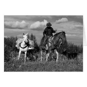 Cariboo Cowboy Horse and Mule Gifts Cards