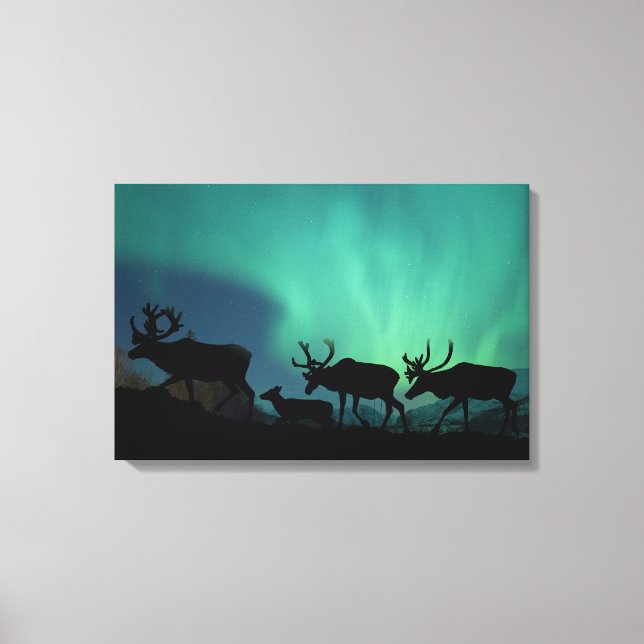 Caribou and Northern Lights Canvas Print (Front)