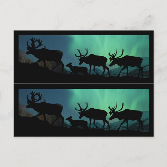 Caribou and Northern Lights Postcard (Front)