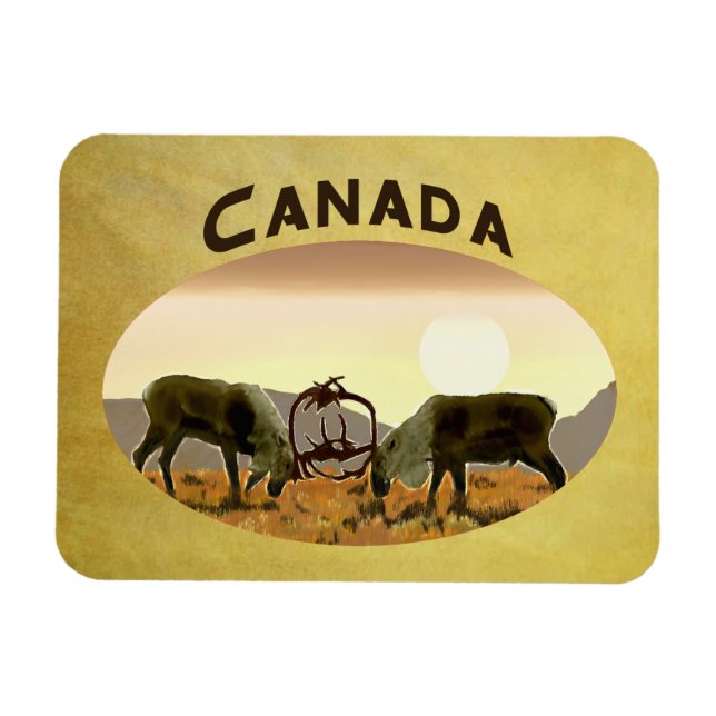 Caribou Duel - Canada Magnet (Horizontal)