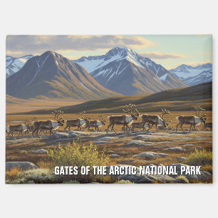 Caribou in Gates of the Arctic National Park Magnet