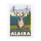 Caribou in the Wild - Denali National Park,
