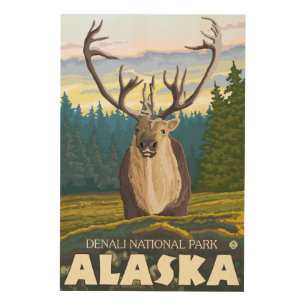 Caribou in the Wild - Denali National Park, Wood Wall Art