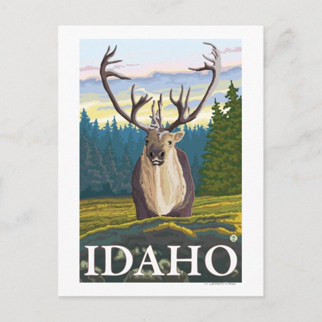 Caribou in the Wild - Idaho Postcard (Front)