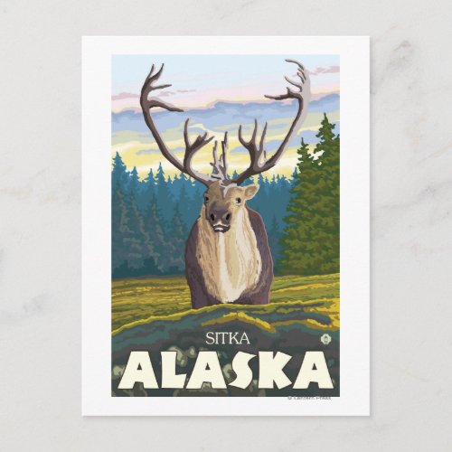 Caribou in the Wild _ Sitka Alaska Postcard