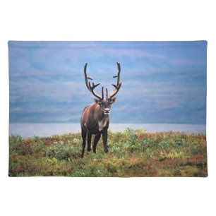 Caribou or Reindeer   Denali National Park, Alaska Cloth Placemat