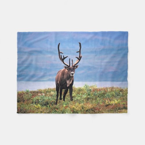 Caribou or Reindeer  Denali National Park Alaska Fleece Blanket