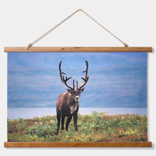 Caribou or Reindeer  Denali National Park Alaska Hanging Tapestry