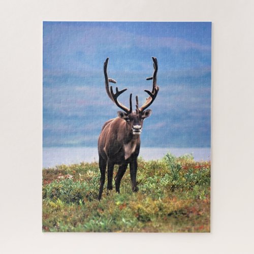 Caribou or Reindeer  Denali National Park Alaska Jigsaw Puzzle