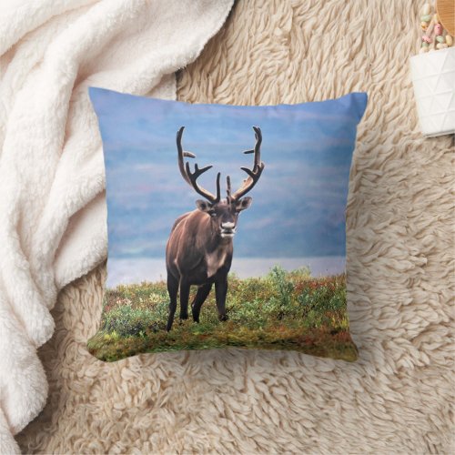 Caribou or Reindeer  Denali National Park Alaska Throw Pillow